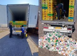 ۳تن مواد غذایی تاریخ گذشته در نایین معدوم شد