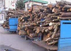 کشف  ۹۸۰ کیلوگرم چوب تاغ در شهرستان خوروبیابانک