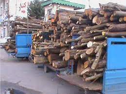 کشف  ۹۸۰ کیلوگرم چوب تاغ در شهرستان خوروبیابانک