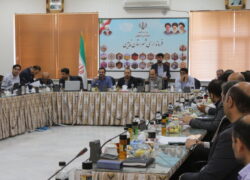 وعده استاندار اصفهان به فعالان اقتصادی نایین محقق شد