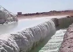 امکان سنجی پرورش آرتمیا در مجتمع پتاس خور,بیابانک