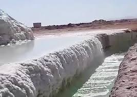 امکان سنجی پرورش آرتمیا در مجتمع پتاس خور,بیابانک