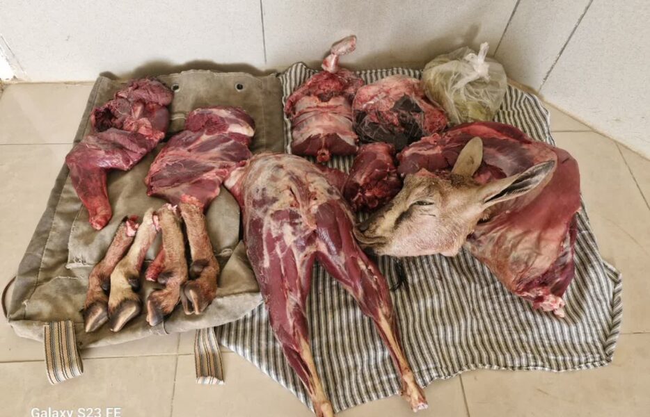 متخلف شکار و صید در پناهگاه حیات وحش عباس آباد نایین دستگیر شد