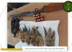 دستگیری متخلف شکار و صید در محدوده حفاظت گاه مشارکتی کوه پرویز نایین